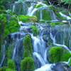 Image 001